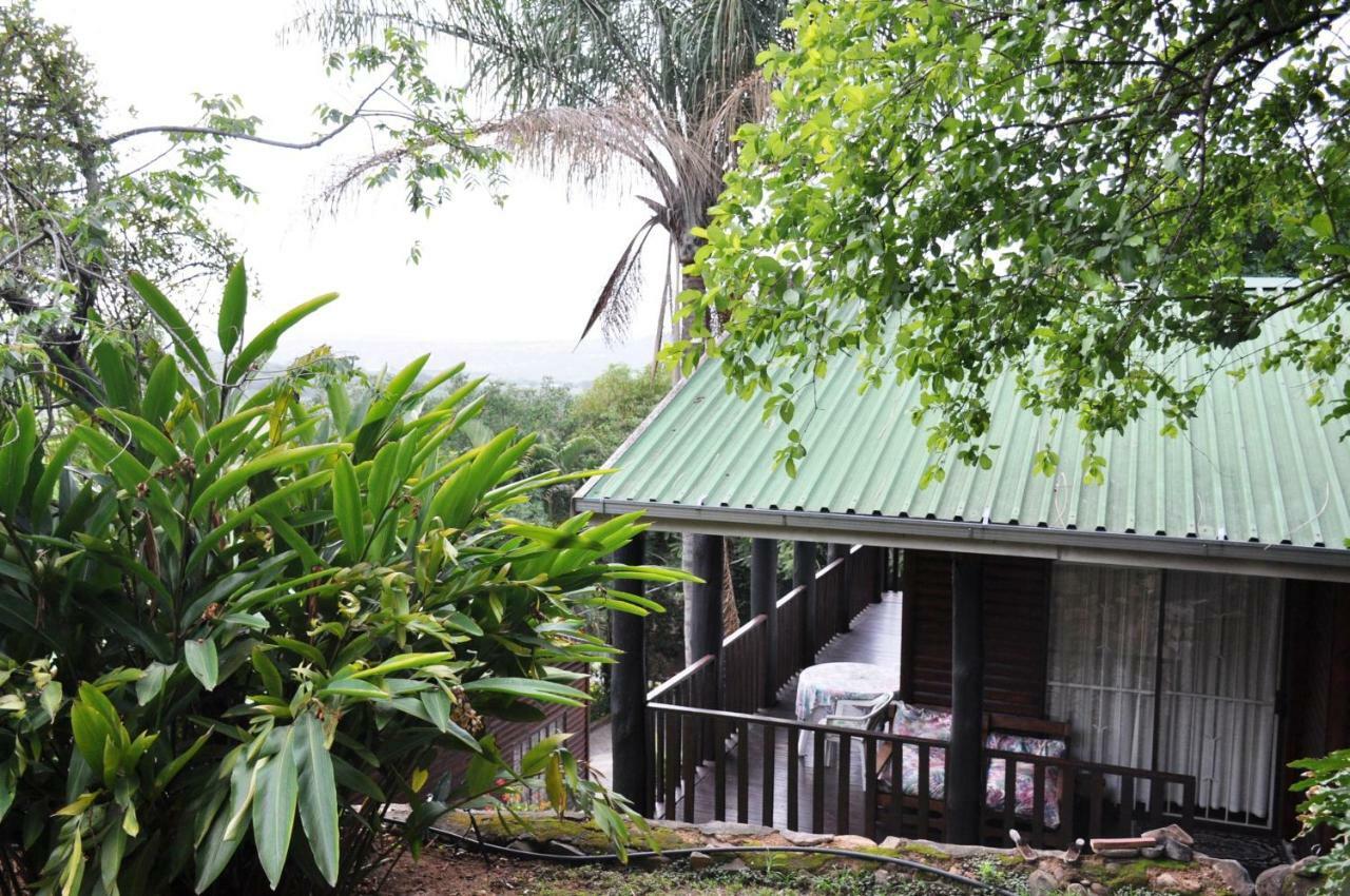 观景小屋 雾观 外观 照片