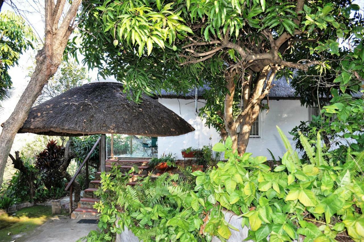 观景小屋 雾观 外观 照片