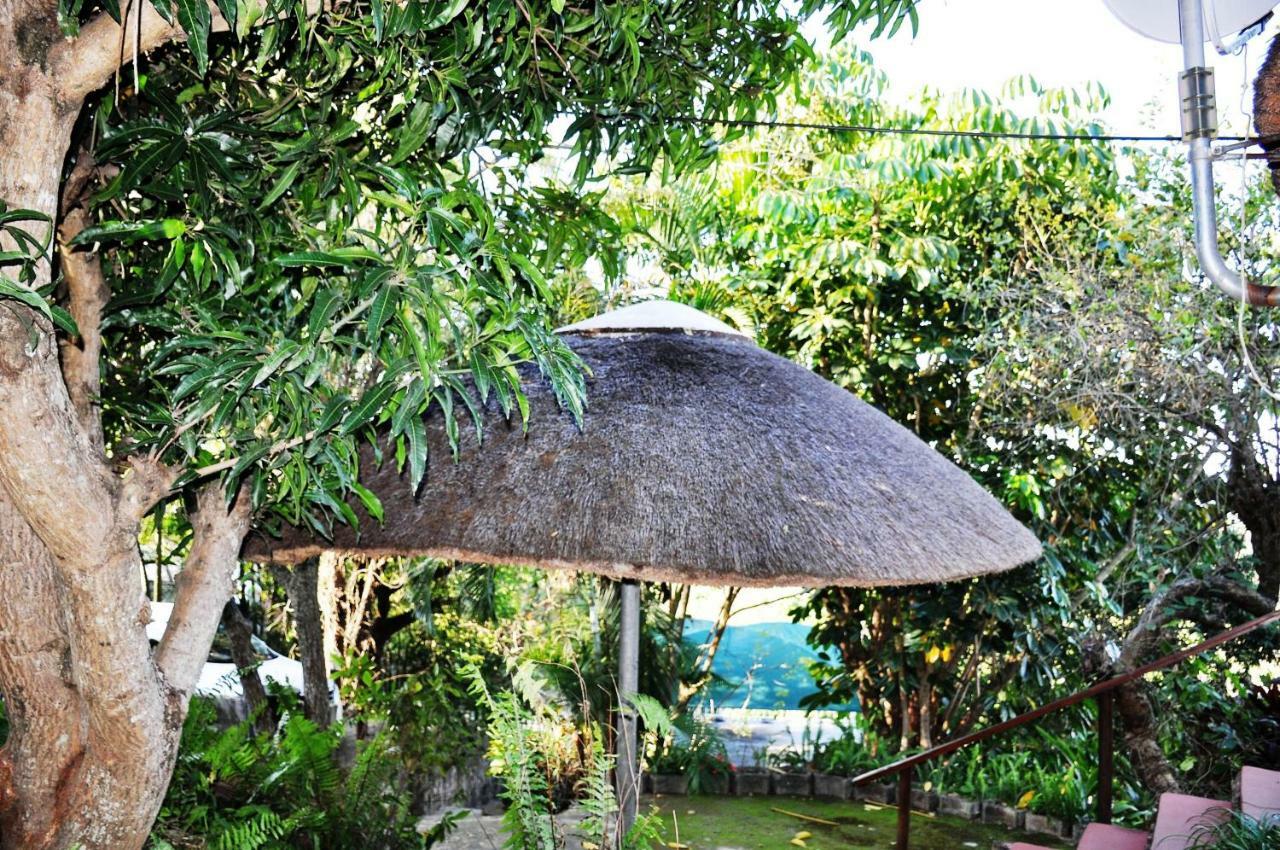 观景小屋 雾观 外观 照片