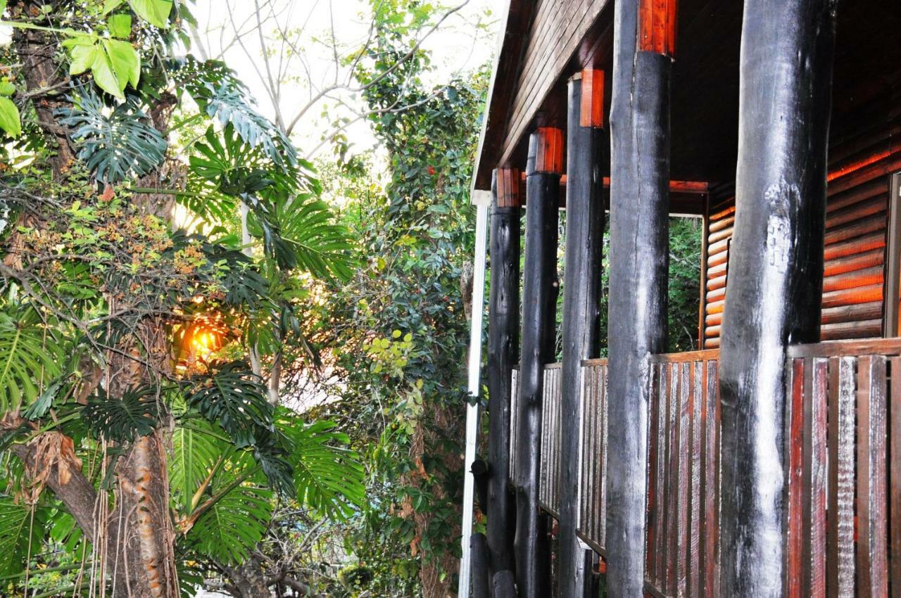 观景小屋 雾观 外观 照片
