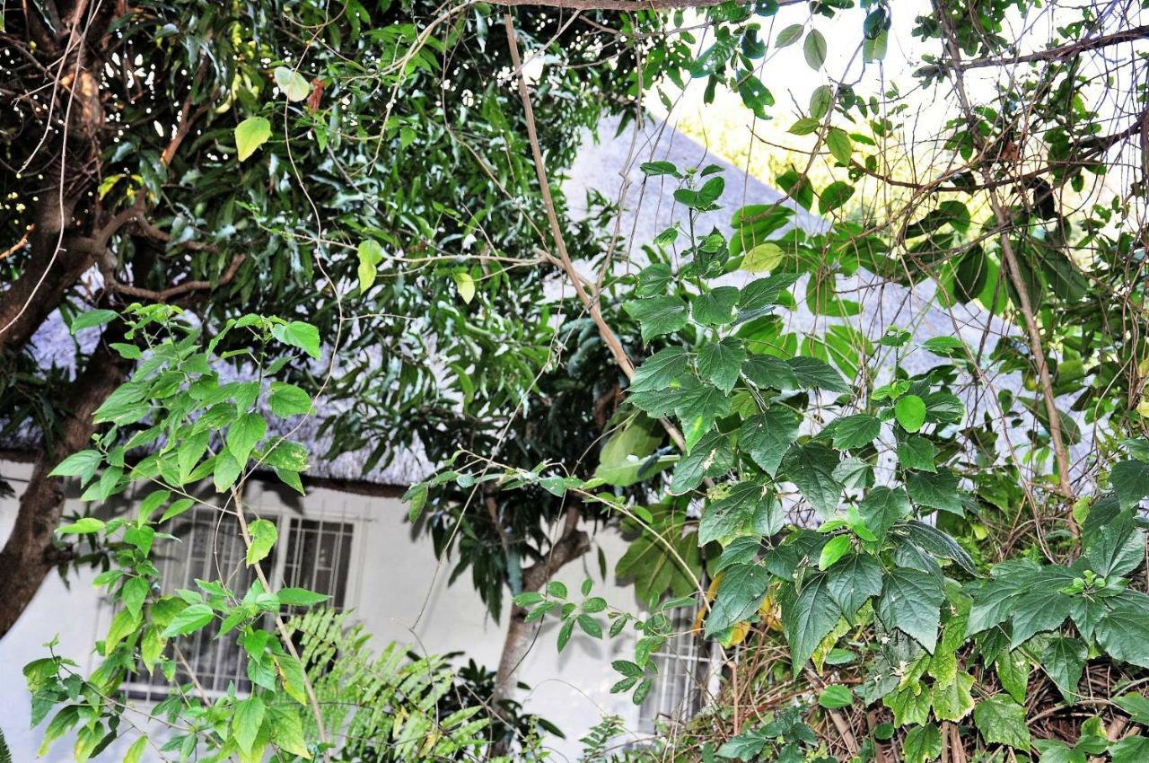 观景小屋 雾观 外观 照片